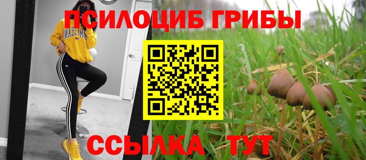 Гай  Галлюциногенные грибы прущие грибы  Вход с VPN 