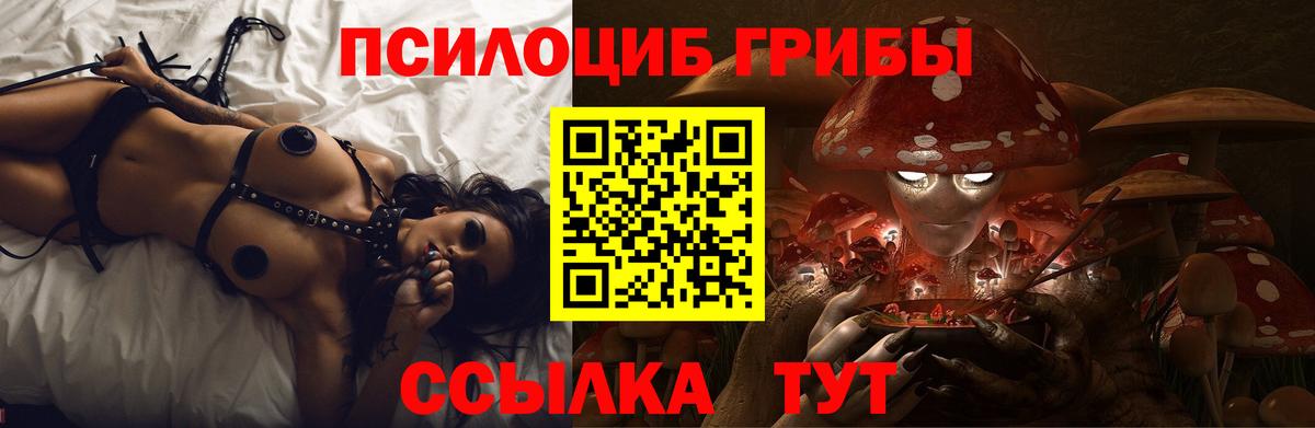 Галлюциногенные грибы прущие грибы Гай